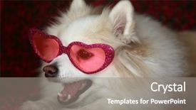  Presentation with shape heart - Audience pleasing presentation design consisting of heart shape valentines day sunglasses backdrop and a gray colored foreground