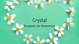  Presentation with chamomile - Beautiful slides featuring heart-shaped chamomile backdrop and a seafoam green colored foreground