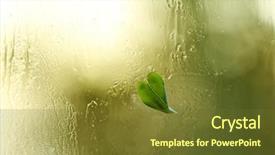  Presentation with heart - Audience pleasing PPT layouts consisting of heart shaped leaf on wet backdrop and a tawny brown colored foreground