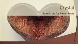  Presentation with nut - PPT theme consisting of utility bill with us coin background and a light gray colored foreground