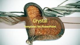  Presentation with heart shaped book page - Theme with heart-shaped shell with twisted background and a tawny brown colored foreground