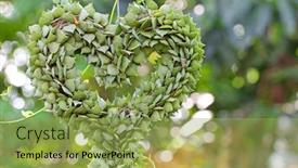  Presentation with succulent - Beautiful slide deck featuring heart-shaped succulent plant named million hearts dischidia ruscifolia shaping into a heart shape backdrop and a yellow colored foreground
