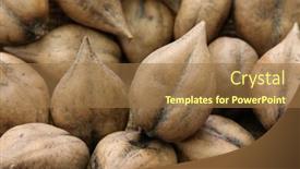  Presentation with japanese - PPT layouts having heart-shaped-walnuts-japanese-himegurumi background and a coral colored foreground