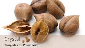  Presentation with japanese - PPT theme featuring heart-shaped-walnuts-japanese-himegurumi background and a coral colored foreground