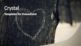  Presentation with oak tree - Amazing slide set having heart symbol on oak trunk backdrop and a wine colored foreground