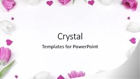  Presentation with border pink - PPT theme having hearts over white background border background and a white colored foreground