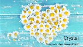  Presentation with shape heart - Presentation consisting of hearts puzze - chamomile in shape of heart background and a  colored foreground