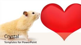  Presentation with white dove heart - Cool new PPT theme with hearts puzze - hamster with heart isolated backdrop and a lemonade colored foreground