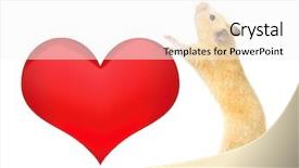  Presentation with heart - Theme with hearts puzze - hamster with heart isolated background and a white colored foreground