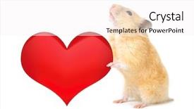  Presentation with heart - PPT layouts having hearts puzze - hamster with heart isolated background and a white colored foreground