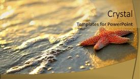  Presentation with starfish - Cool new PPT theme with heat wave - starfish on wet sand backdrop and a yellow colored foreground