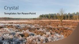  Presentation with winter landscape winter tree - Slides having heather-landscape-in-winter background and a light blue colored foreground