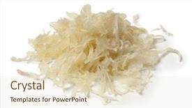  Presentation with preserved - PPT theme with heathy - heap of preserved sauerkraut background and a soft green colored foreground