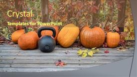  Presentation with crop - PPT layouts having heavy-iron-kettlebell background and a tawny brown colored foreground