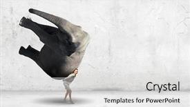  Presentation with elephant - Presentation theme enhanced with struggle business women - businesswoman carrying big elephant background and a light gray colored foreground