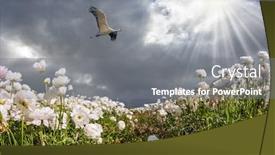  Presentation with strong wind - Cool new slide set with heavy-rain-cloud-over backdrop and a gray colored foreground