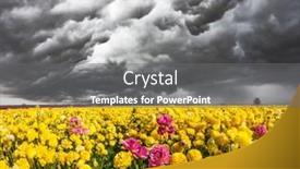  Presentation with strong wind - Slides with heavy-rain-cloud-over background and a gray colored foreground