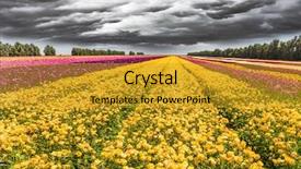  Presentation with rural tourism - Slide deck consisting of heavy rain clouds fly background and a gold colored foreground