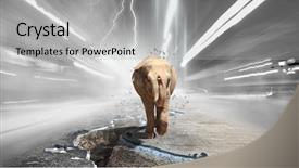  Presentation with tax - Presentation enhanced with heavy transport tax mixed media background and a  colored foreground