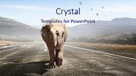  Presentation with sydney transport - Slide deck having heavy transport tax mixed media background and a  colored foreground