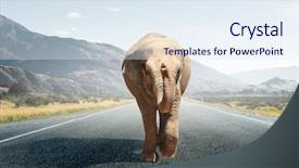  Presentation with transportation - Cool new PPT layouts with heavy transportation tax mixed media backdrop and a sky blue colored foreground