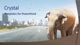  Presentation with tax - Beautiful PPT layouts featuring heavy transportation tax mixed media backdrop and a  colored foreground