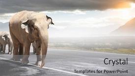  Presentation with transportation - Colorful PPT theme enhanced with heavy transportation tax mixed media backdrop and a  colored foreground