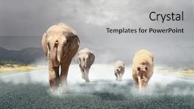  Presentation with transportation - Amazing presentation design having heavy transportation tax mixed media backdrop and a  colored foreground