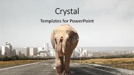  Presentation with transportation - Amazing PPT theme having heavy transportation tax mixed media backdrop and a  colored foreground