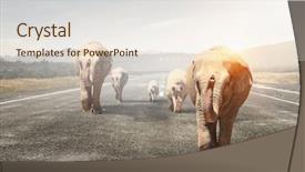  Presentation with transportation - Amazing presentation theme having heavy transportation tax mixed media backdrop and a  colored foreground