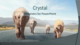  Presentation with transportation - Presentation enhanced with heavy transportation tax mixed media background and a  colored foreground