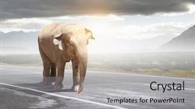  Presentation with transportation - Beautiful presentation featuring heavy transportation tax mixed media backdrop and a  colored foreground