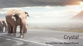  Presentation with w 3 tax - Amazing PPT theme having heavy transportation tax mixed media backdrop and a  colored foreground