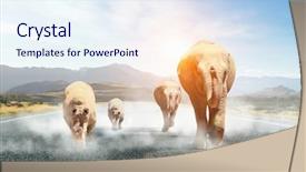  Presentation with transportation - Theme featuring heavy transportation tax mixed media background and a  colored foreground