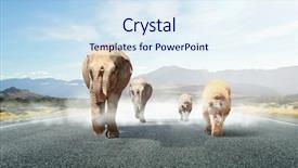  Presentation with tax - Audience pleasing PPT theme consisting of heavy transportation tax mixed media backdrop and a  colored foreground