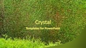  Presentation with privacy - Presentation design having sniper - hedge of arborvitae background and a tawny brown colored foreground