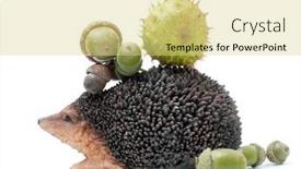  Presentation with guava fruits fresh green fruit - Colorful PPT theme enhanced with hedgehog-carrying-acorn-and-chestnut backdrop and a yellow colored foreground