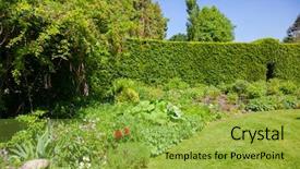 Presentation with lawn and garden - Audience pleasing slides consisting of hedgerow in background southern england backdrop and a yellow colored foreground