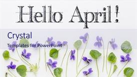  Presentation with greetings - Amazing slide deck having hello april greetings with fresh backdrop and a sky blue colored foreground