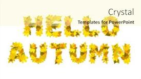  Presentation with white letters - Amazing theme having hello autumn a phrase from the letters of autumn leaves isolated on white background backdrop and a blonde colored foreground