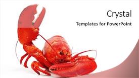  Presentation with fish - Presentation enhanced with hello lobster background and a white colored foreground