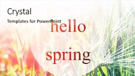  Presentation with green beauty - Audience pleasing presentation design consisting of hello spring and green field beauty nature background backdrop and a white colored foreground