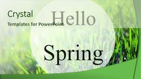  Presentation with green morning - Presentation theme with hello spring beatiful morning green field background and a soft green colored foreground