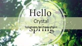  Presentation with green forest morning - Cool new PPT theme with hello spring beatiful morning green forest backdrop and a soft green colored foreground
