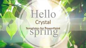  Presentation with green forest morning - Presentation theme enhanced with hello spring beatiful morning green forest background and a soft green colored foreground