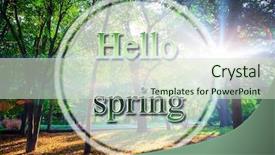  Presentation with green forest morning - Presentation theme having hello spring beatiful morning green forest background and a soft green colored foreground