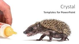  Presentation with helping hand - PPT theme with helping-hand-carrying-a-bottle background and a white colored foreground