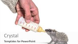  Presentation with helping hand - Colorful PPT theme enhanced with helping-human-hand-give-food backdrop and a white colored foreground