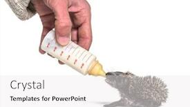  Presentation with helping hand - PPT theme enhanced with helping-human-hand-give-food background and a white colored foreground