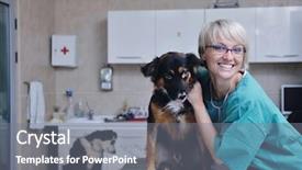  Presentation with surgery room - Beautiful PPT layouts featuring helping sick - doctor vet woman work backdrop and a gray colored foreground